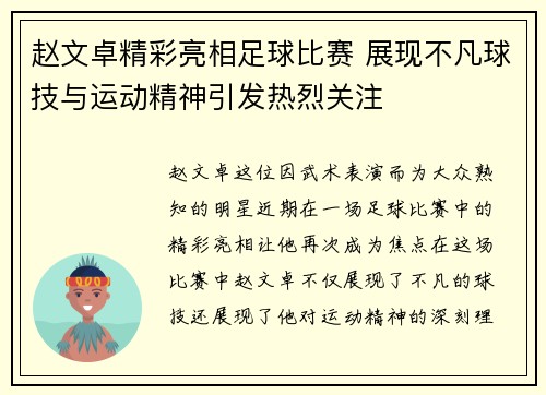 赵文卓精彩亮相足球比赛 展现不凡球技与运动精神引发热烈关注